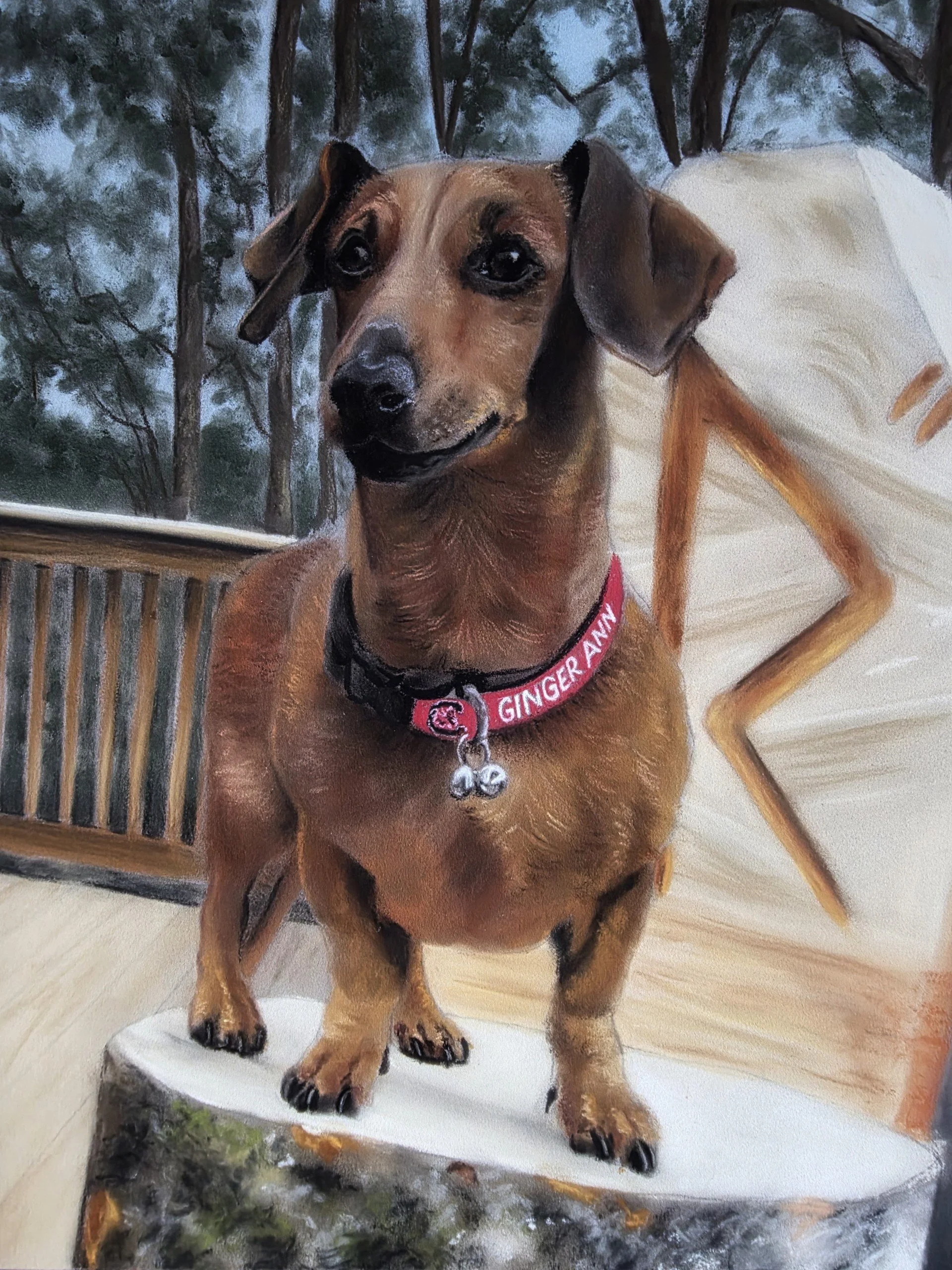 PET PORTRAITS ***GIFT CERTIFICATES NOW AVAILABLE*** — Katrina Rainey